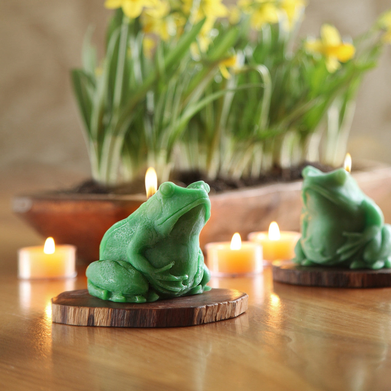 Big Dipper Wax Works Beeswax Frog Candle